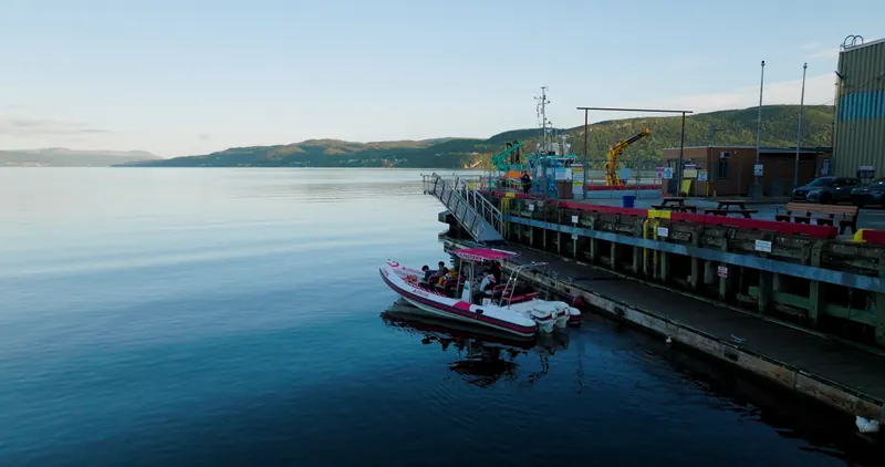 Zodiac boat tour boarding at the Bay of Islands pier