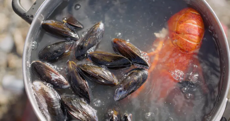 Fresh Atlantic lobster and blue mussels boiling on the shore