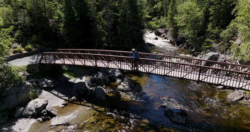Corner Brook Stream Trail pedestrian bridge in summer foliage